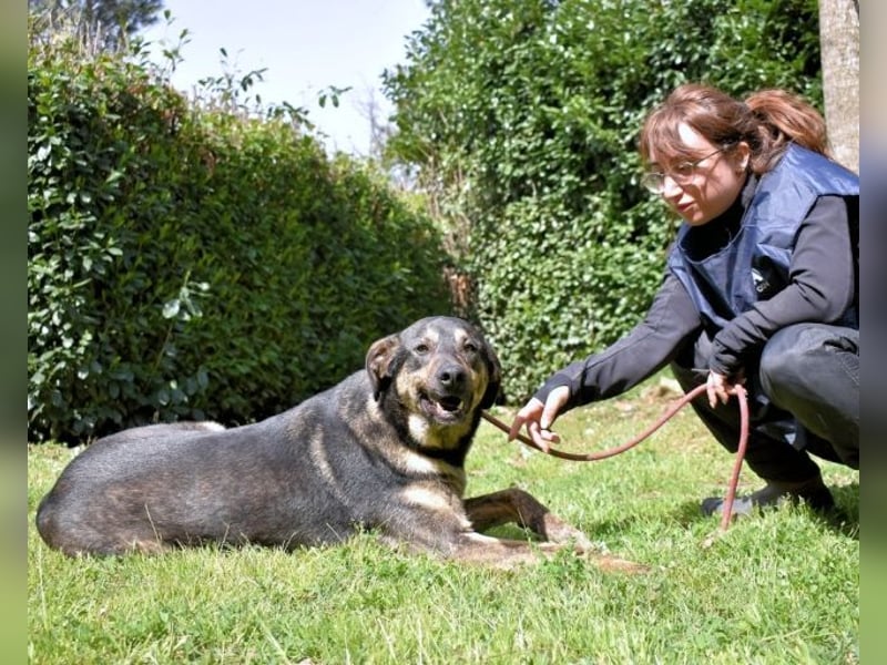 Montego - Sonne im Bauch und Brausekribbeln im Hirn