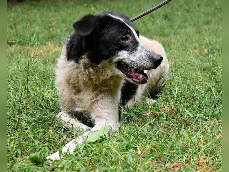 Jessie - Viel zu lange auf der Zuschauerbank