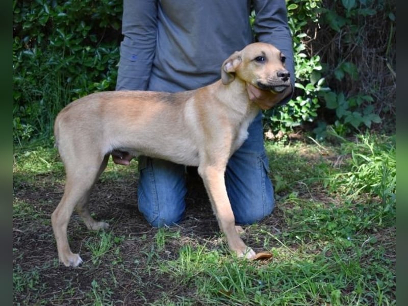 Ulbert - hat alles verloren