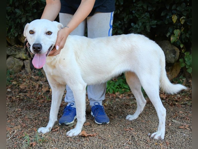 Dafnielle - Zukunft gesucht