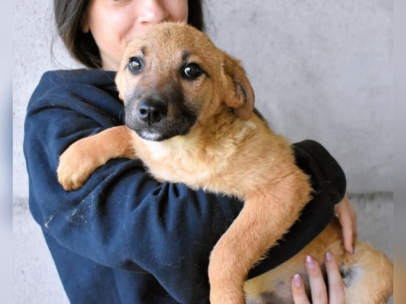 Mivelle - Es soll DEIN Leben werden