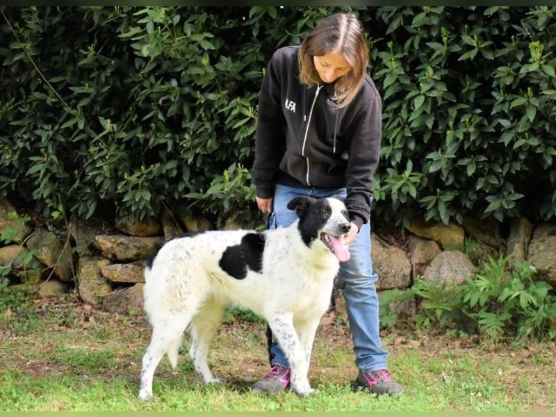 Jasmine - Wer nicht neugierig ist, erfährt nichts!