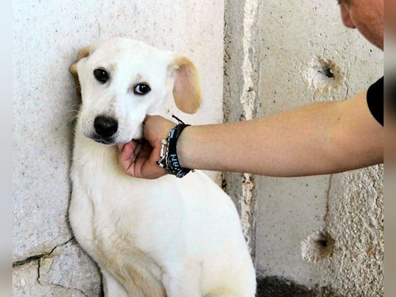 Radford - Ein Anfang, der nie kam