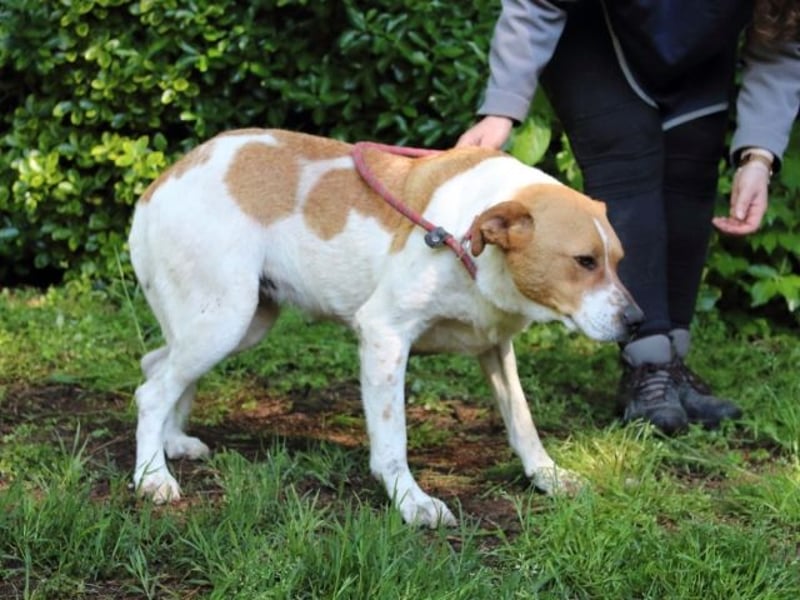 Zela - Z wie Zuckersüß und Zauberhaft