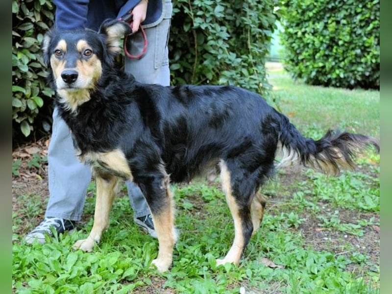 Daxter - wann darf sein Leben beginnen? Daxter - wann darf sein Leben beginnen?