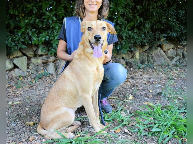 Lilyrose - als kleine Muschel ins Glück!