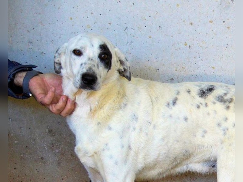 Arunny - Während Sie das hier lesen