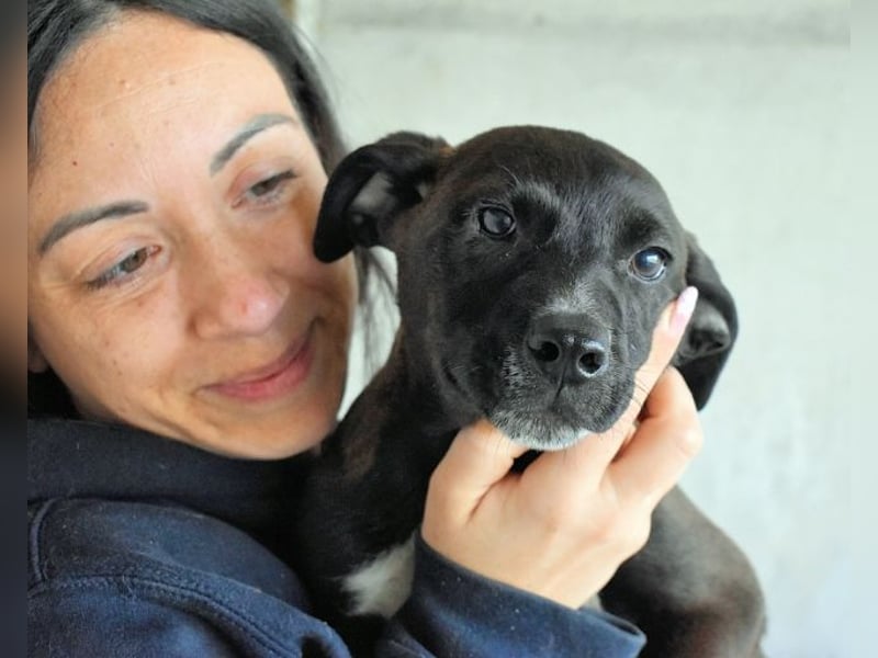 Marisca - Es soll DEIN Leben werden