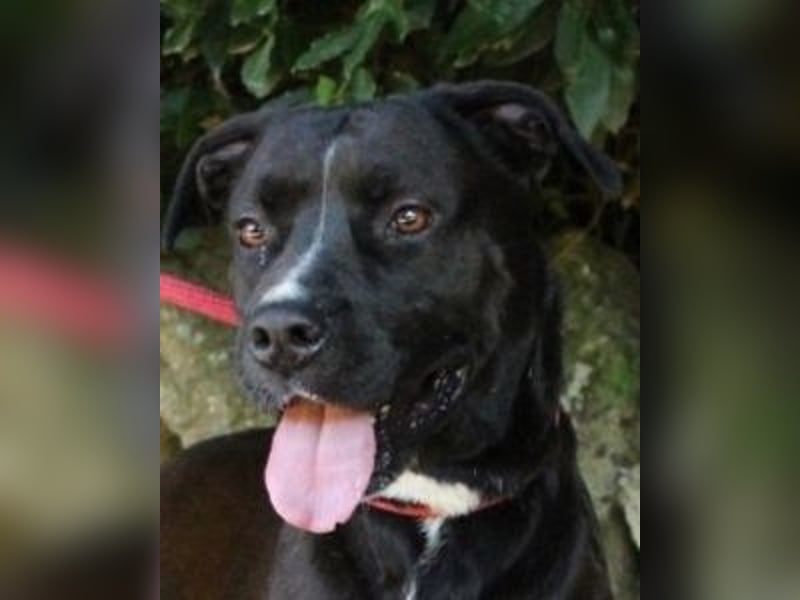 Sienna - Surferin der Herzen