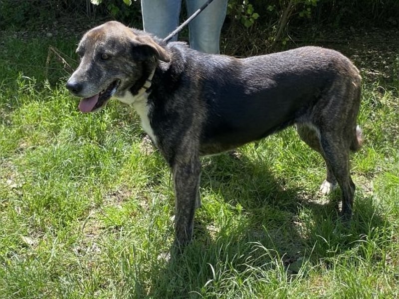 Lola - Das Herz hat seine Gründe