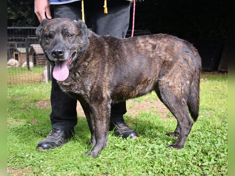 Fareeda - Wo die Schmetterlinge wohnen