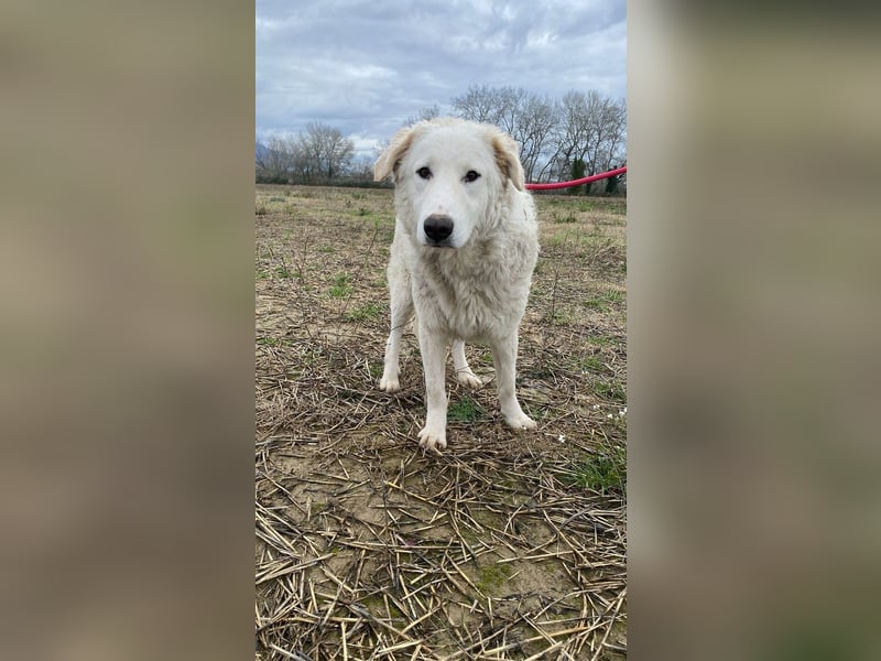 Tonia - Still, stark und voller Herz