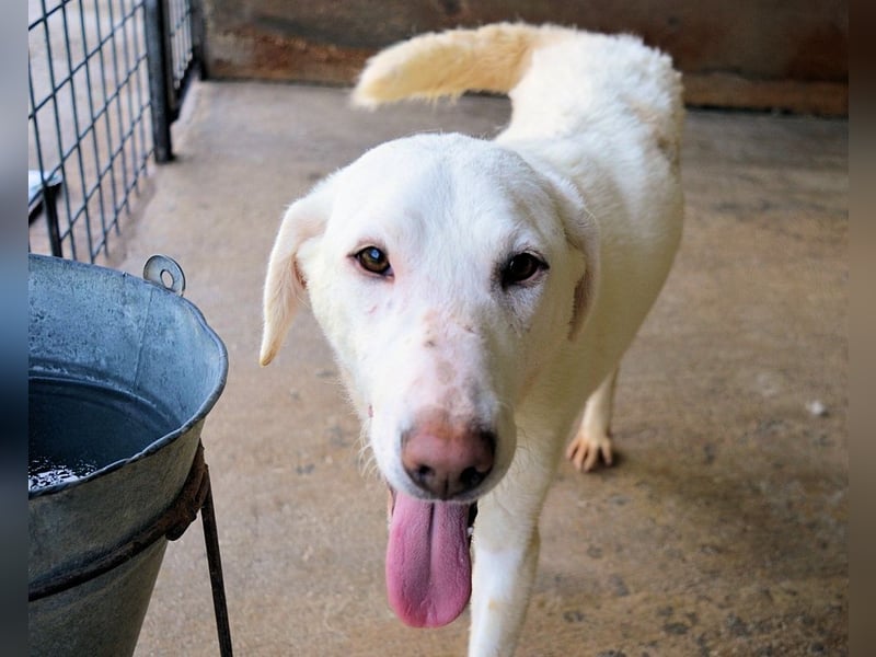 Arriel - aller guten Dinge sind drei