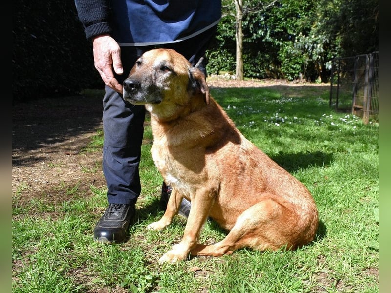 Nidal - Notfall - Was jetzt zählt