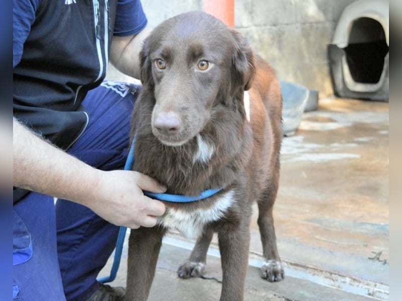 Beckey - Berufswunsch Prinzessin