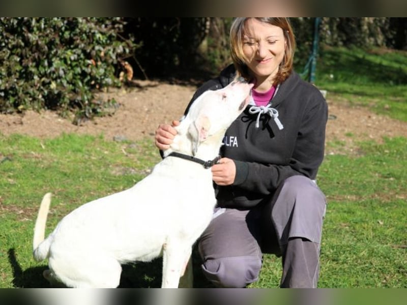 Olindina - Wie gut du bist, das zeigt sich an schlechten Tagen