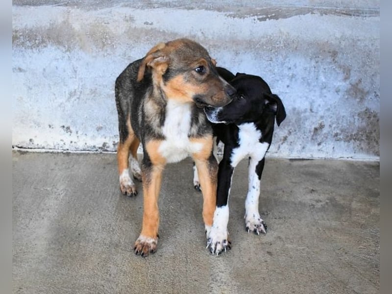 Mavette - Es soll DEIN Leben werden