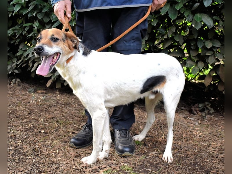 Kamyll - Der Platz neben dir