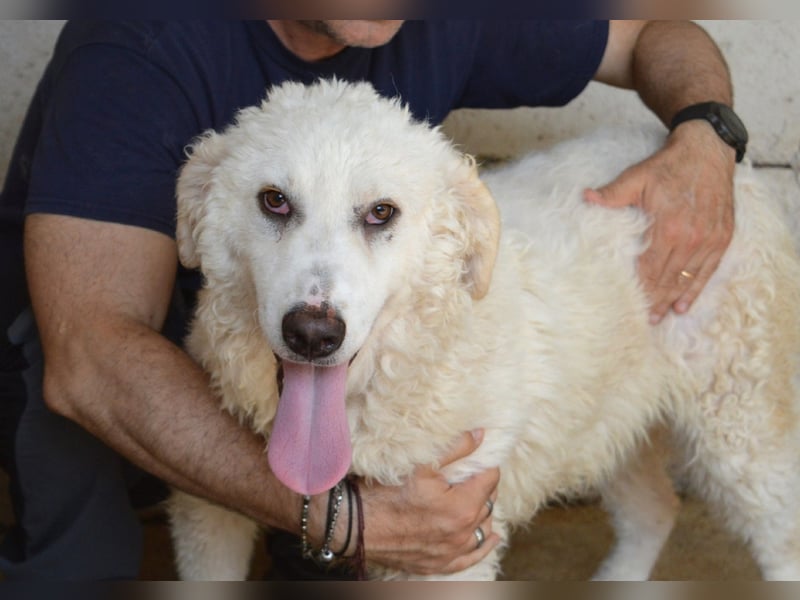 Abreena - Selbstbewusst, verspielt und voller Zuneigung