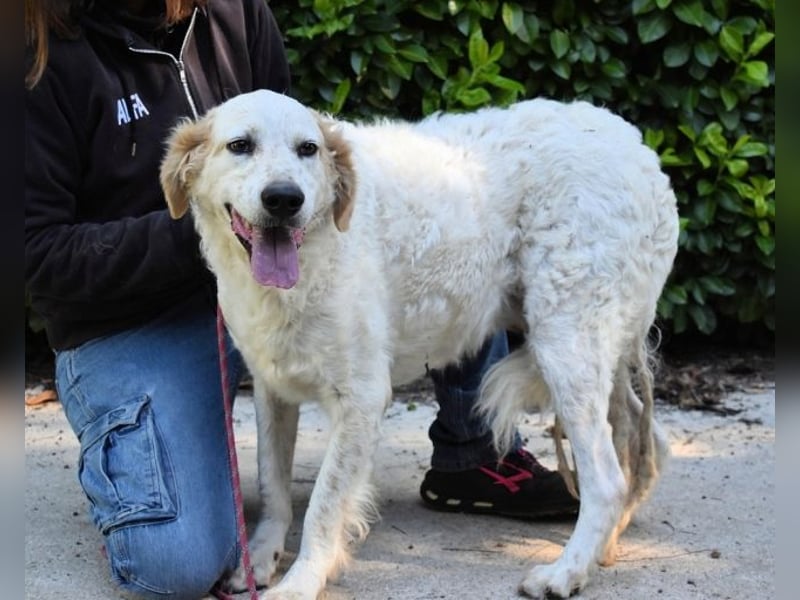 Kastore - Die Welt erkunden!