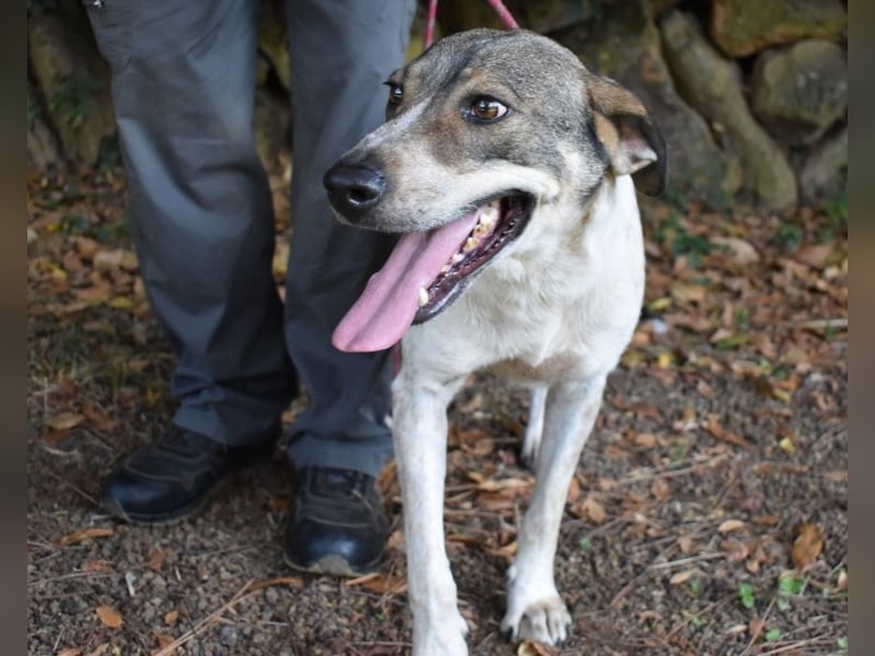 Helder - spricht für sich