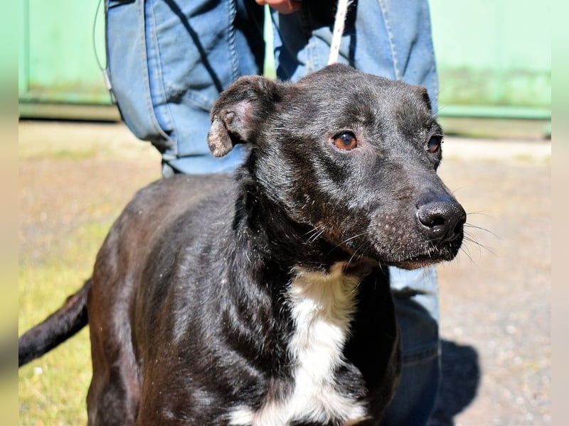 Rhino - NOTFALL !!! - Wenn man nicht auffällt, geht man unter