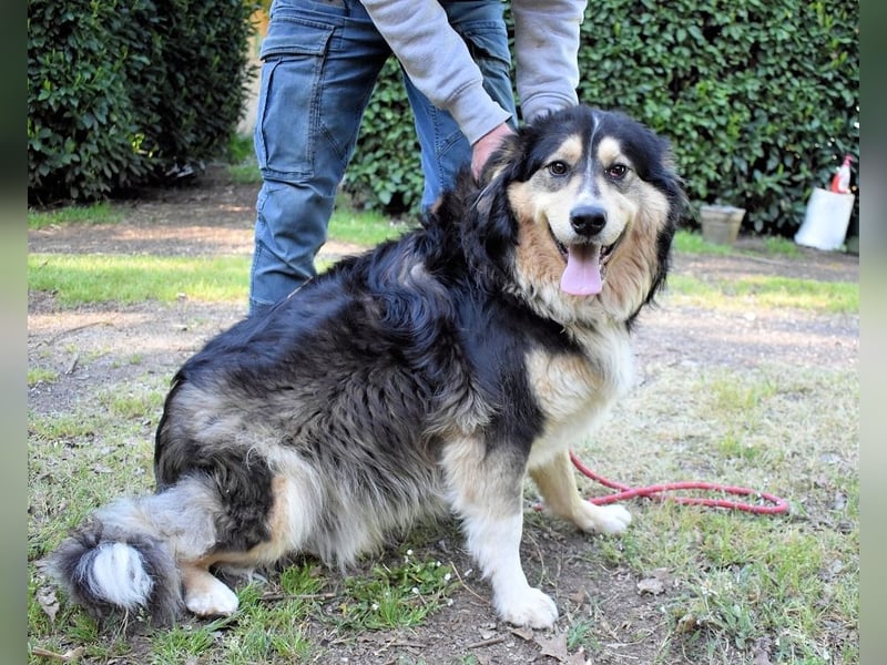 Oliverio - ohne Anklage hinter Gittern