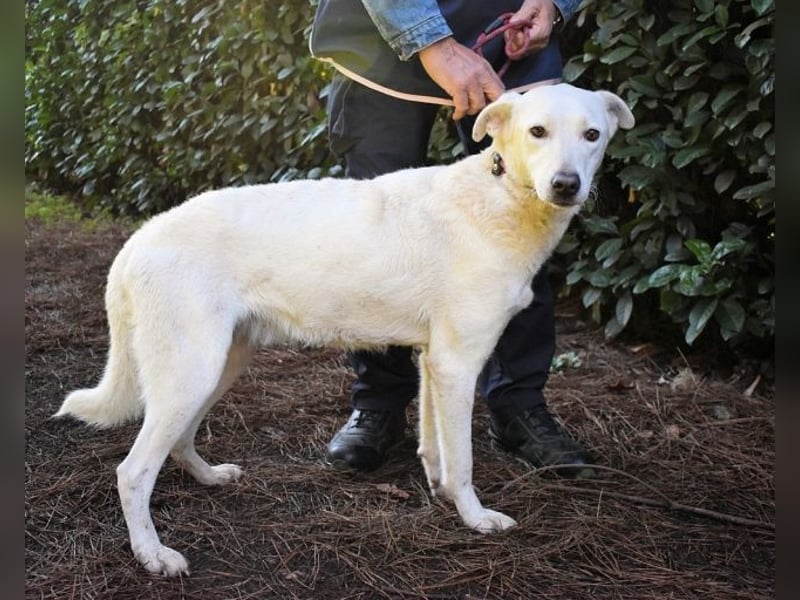 Dafnielle - Zukunft gesucht