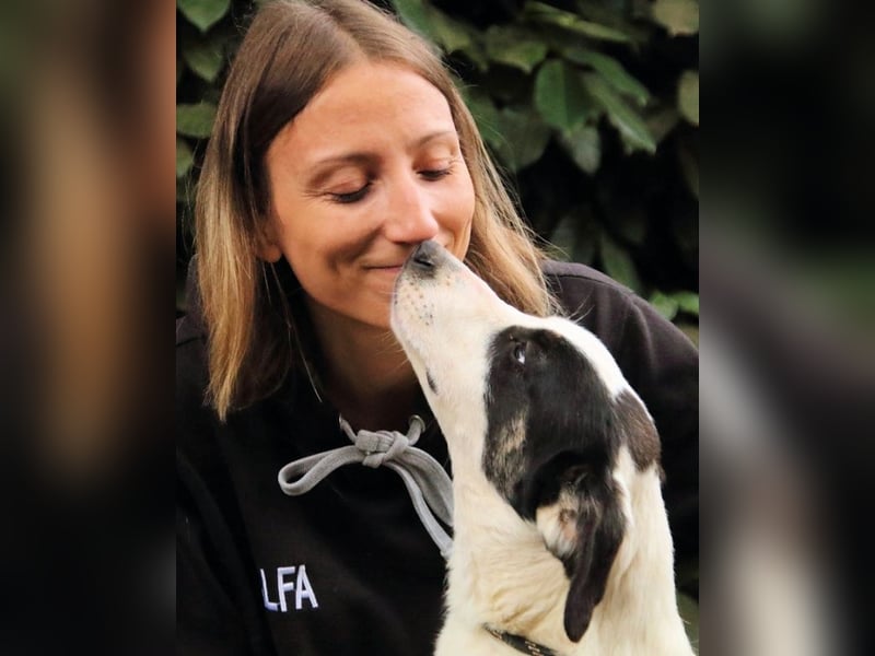 Marius - We proudly present...