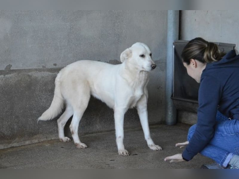 Cyra - Cyra, bald bist auch Du dran!