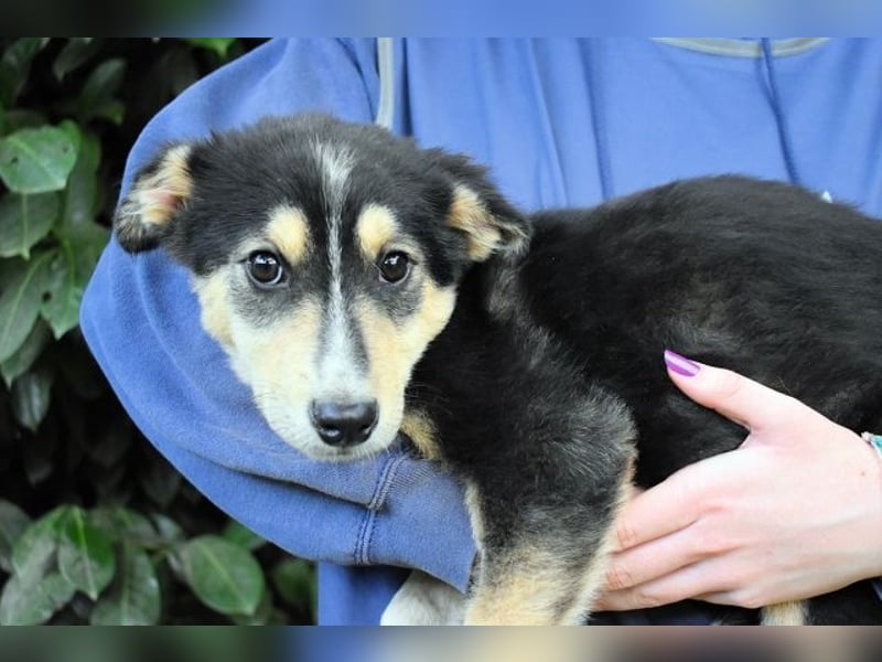 Oliverio - ohne Anklage hinter Gittern