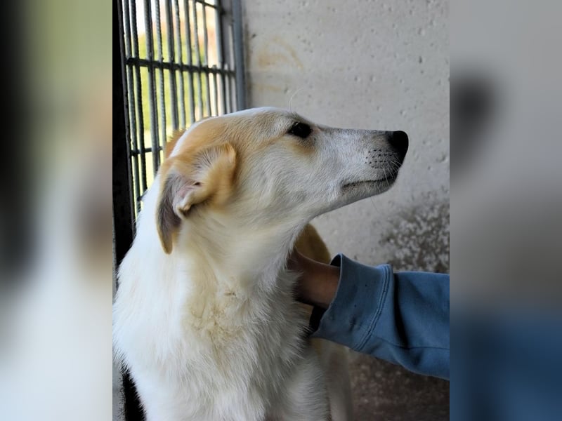 Liuba - sucht ihren Platz im Leben