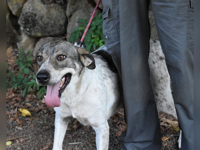 Helder - spricht für sich