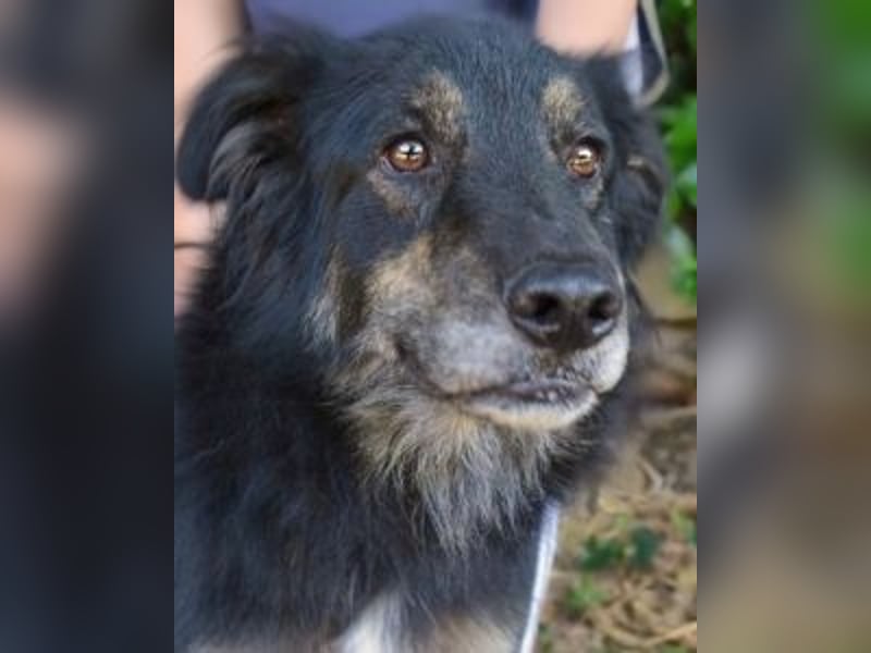 Pinot - "Unmöglich!" sagte die Tatsache... Pinot - "Unmöglich!" sagte die Tatsache...