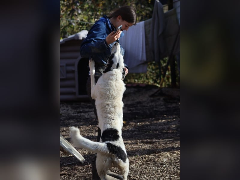 Marni - Dieses Herz hat schon zu lange gewartet