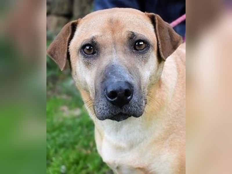 Meleagro - Die perfekte Morgenroutine Meleagro - Die perfekte Morgenroutine