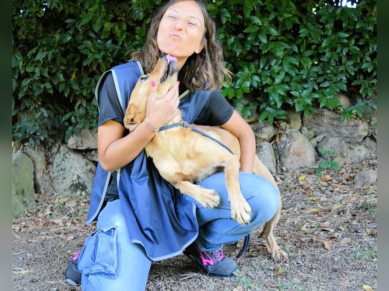 Lilyrose - als kleine Muschel ins Glück!