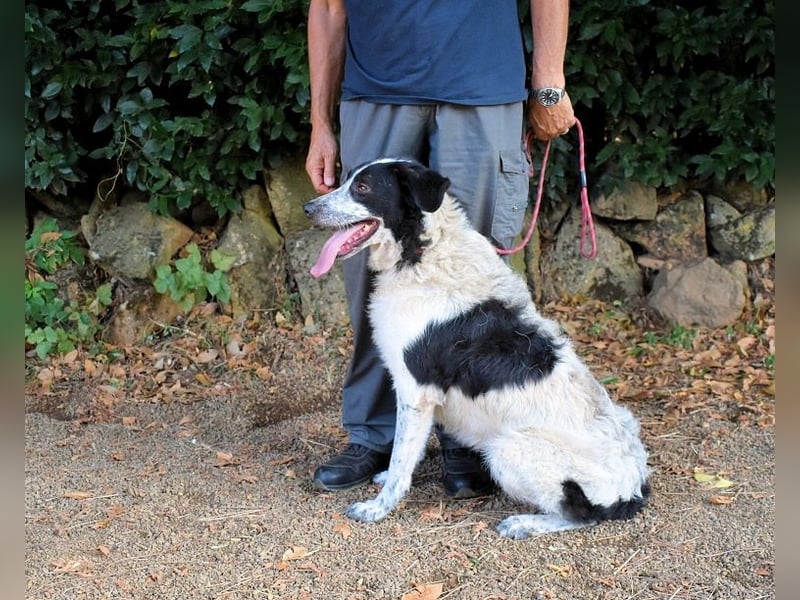 Jessie - Wer nicht neugierig ist, erfährt nichts
