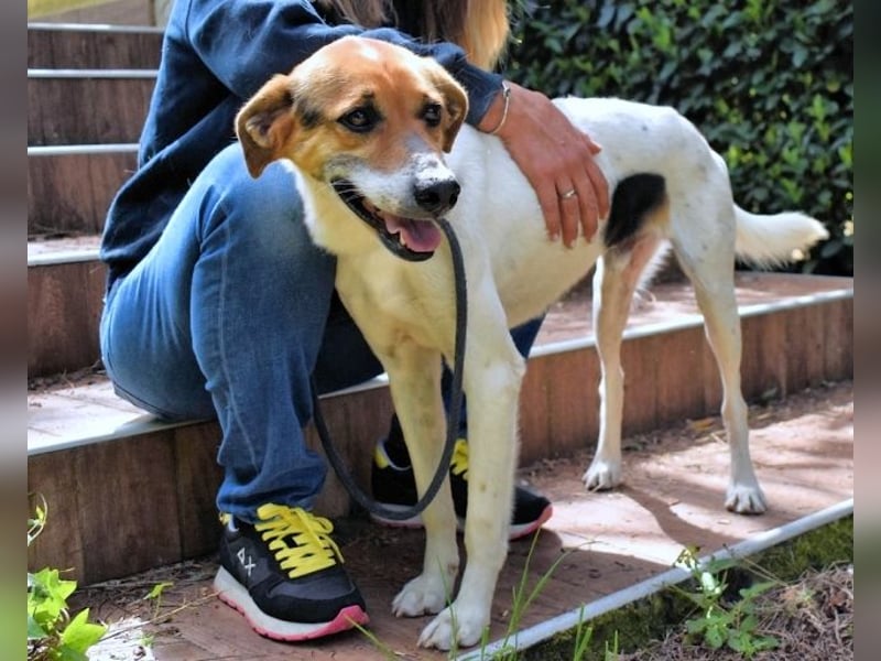 Kamyll - Der Platz neben dir