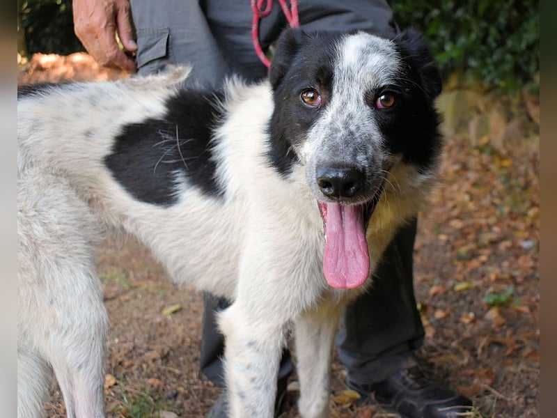 Jasmine - Wer nicht neugierig ist, erfährt nichts!