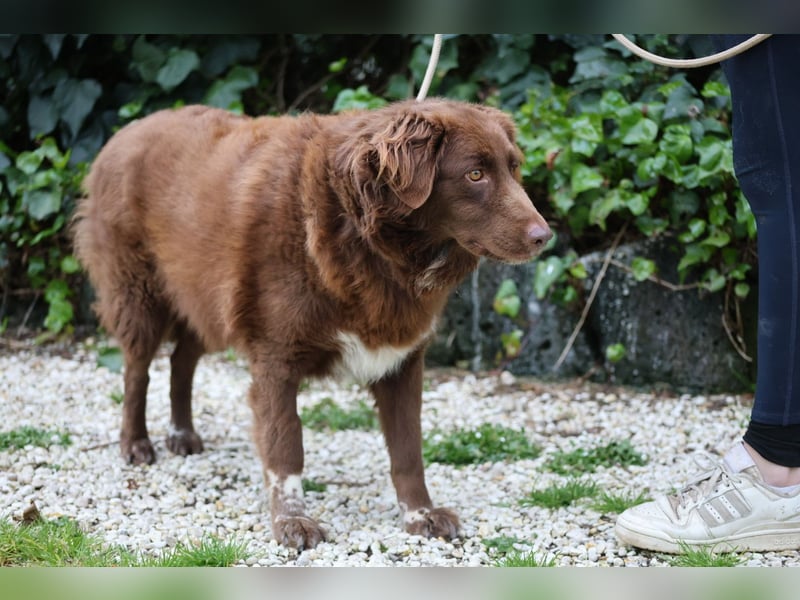 Beckey - Berufswunsch Prinzessin