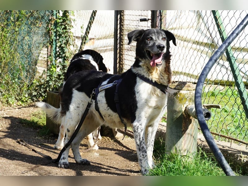 Cambiamento - lasst uns sein Leben verändern