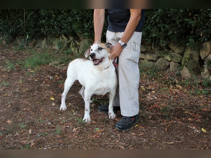 Argo - hungrig auf Leben und Er-Lebnisse