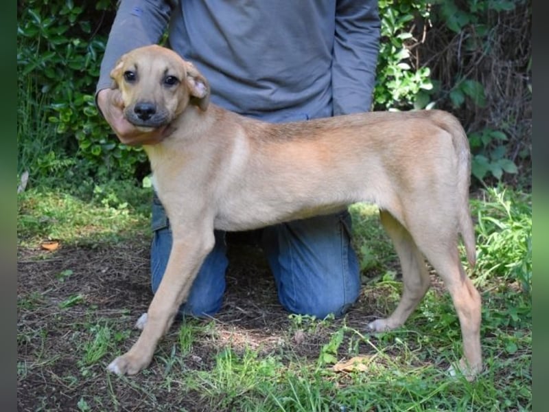 Ulbert - hat alles verloren