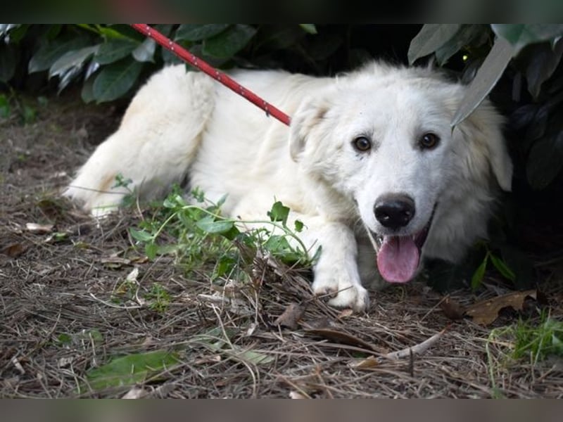 Franky - bereit für das Abenteuer Leben