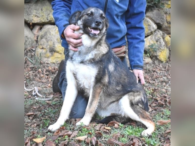 Silvana - im Eilschritt nach Hause?