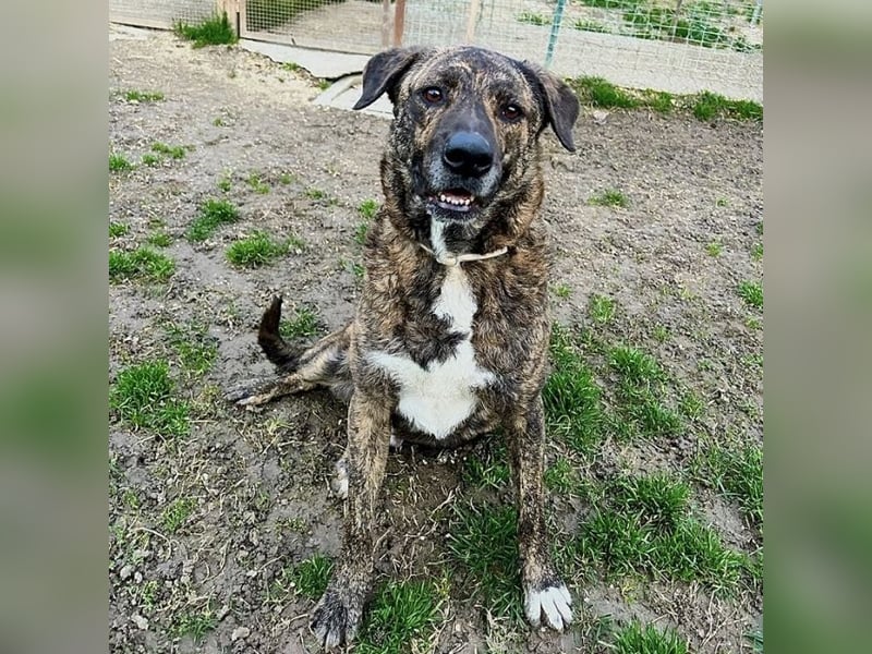 Ludwig - Nur Mädchen erlaubt