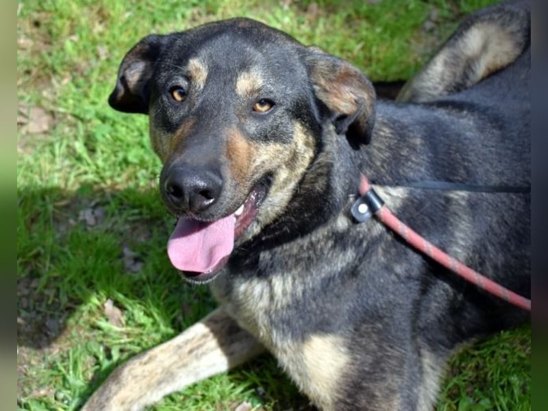 Montego - Sonne im Bauch und Brausekribbeln im Hirn
