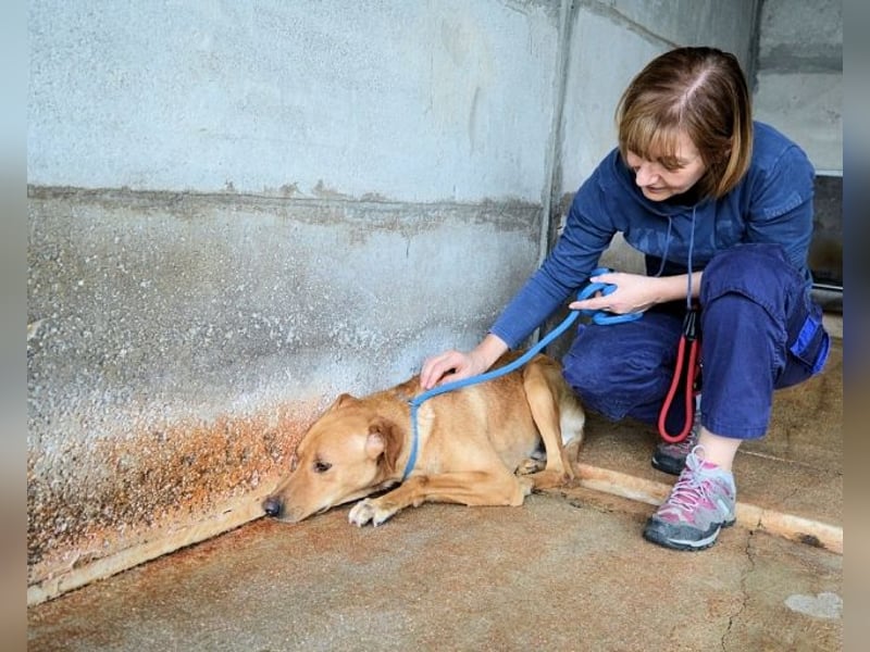 Magee - Lass die Hoffnung siegen