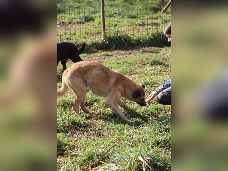 Life - Life will mehr vom Leben - und das zeigt er deutlich!